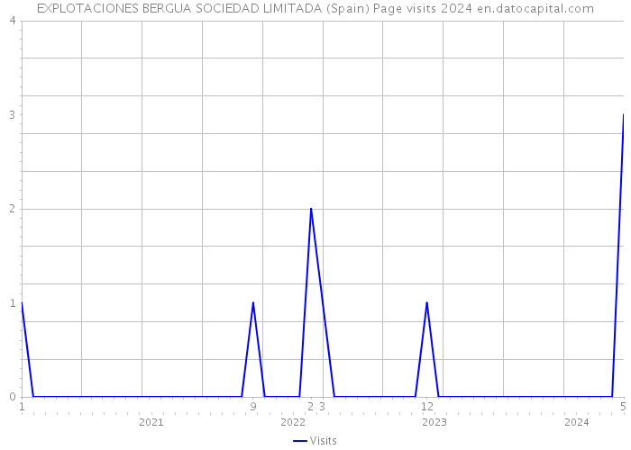 EXPLOTACIONES BERGUA SOCIEDAD LIMITADA (Spain) Page visits 2024 