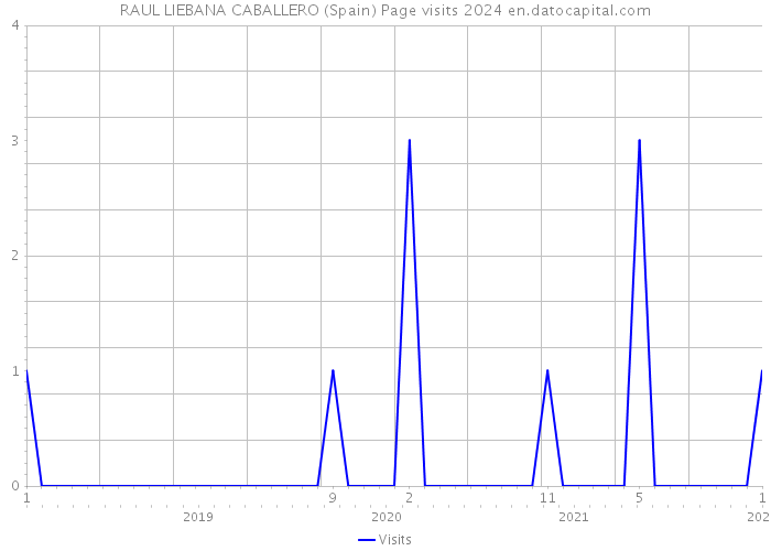 RAUL LIEBANA CABALLERO (Spain) Page visits 2024 