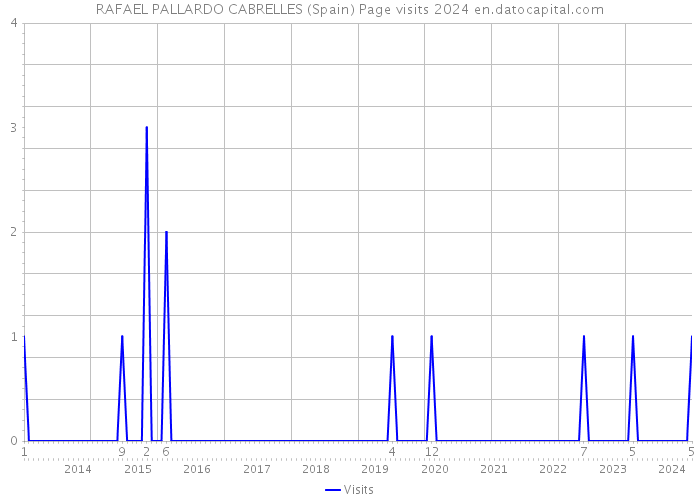 RAFAEL PALLARDO CABRELLES (Spain) Page visits 2024 