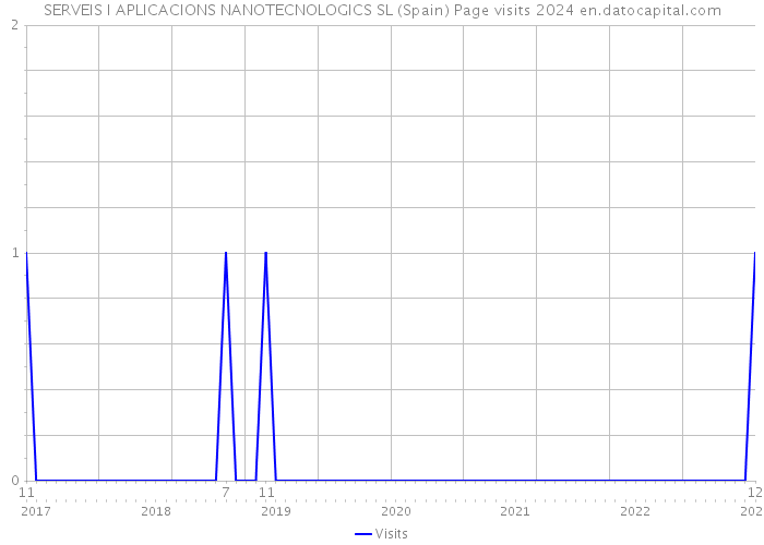 SERVEIS I APLICACIONS NANOTECNOLOGICS SL (Spain) Page visits 2024 