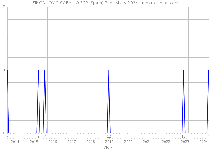 FINCA LOMO CABALLO SCP (Spain) Page visits 2024 