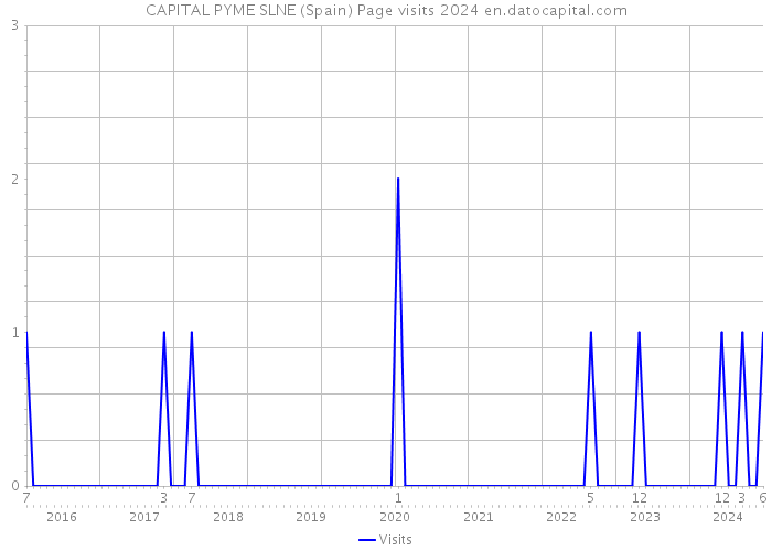 CAPITAL PYME SLNE (Spain) Page visits 2024 