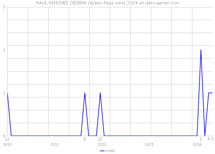 RAUL SANCHEZ CEDENA (Spain) Page visits 2024 