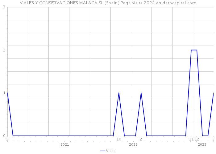 VIALES Y CONSERVACIONES MALAGA SL (Spain) Page visits 2024 