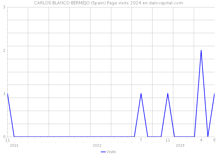 CARLOS BLANCO BERMEJO (Spain) Page visits 2024 