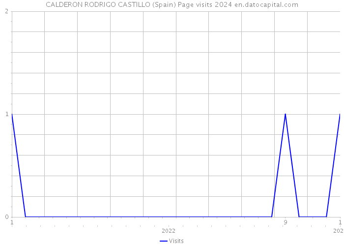 CALDERON RODRIGO CASTILLO (Spain) Page visits 2024 