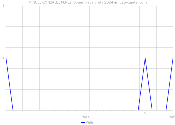 MIGUEL GONZALEZ PEREZ (Spain) Page visits 2024 