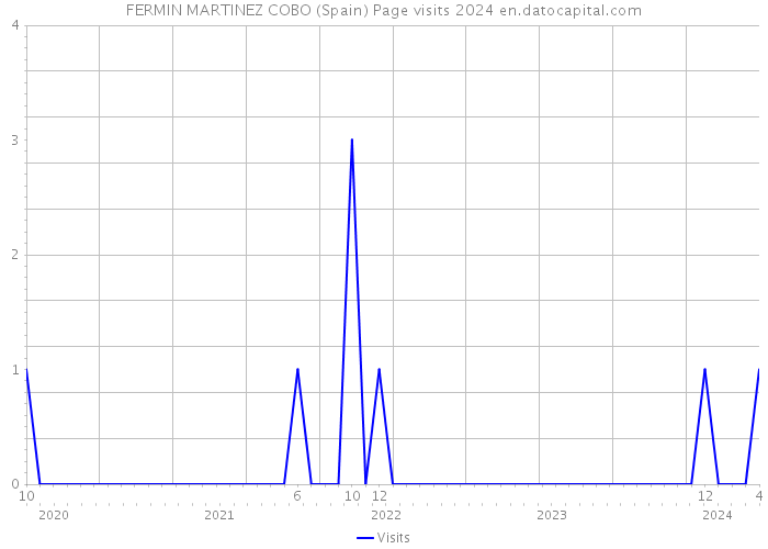 FERMIN MARTINEZ COBO (Spain) Page visits 2024 