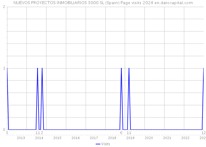 NUEVOS PROYECTOS INMOBILIARIOS 3000 SL (Spain) Page visits 2024 