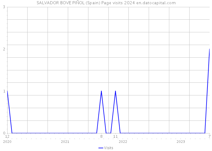 SALVADOR BOVE PIÑOL (Spain) Page visits 2024 