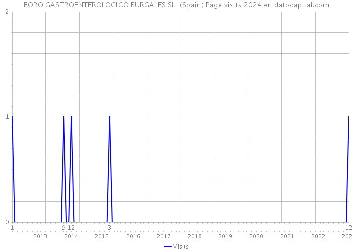 FORO GASTROENTEROLOGICO BURGALES SL. (Spain) Page visits 2024 
