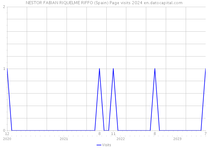 NESTOR FABIAN RIQUELME RIFFO (Spain) Page visits 2024 