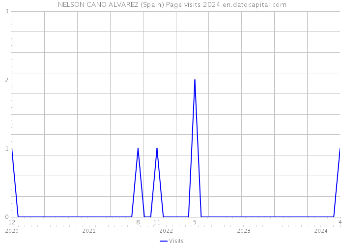 NELSON CANO ALVAREZ (Spain) Page visits 2024 