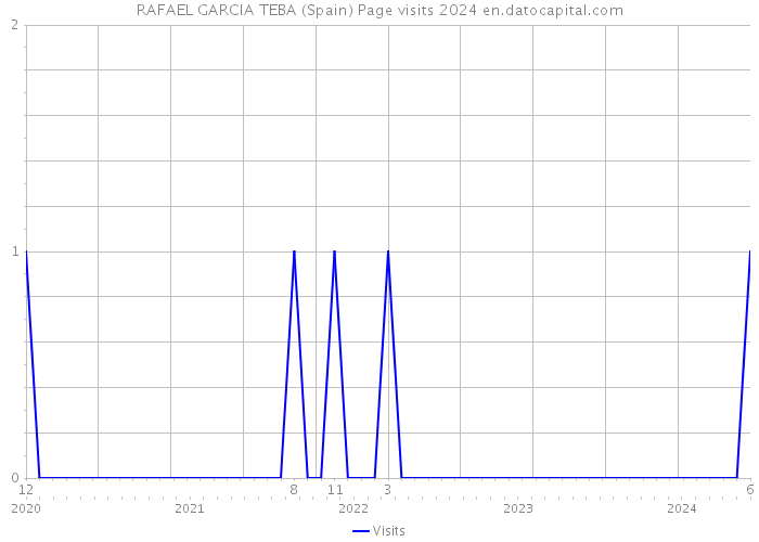 RAFAEL GARCIA TEBA (Spain) Page visits 2024 