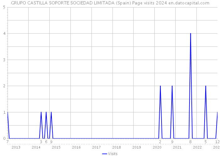 GRUPO CASTILLA SOPORTE SOCIEDAD LIMITADA (Spain) Page visits 2024 