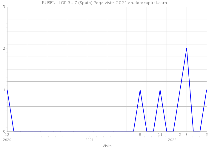 RUBEN LLOP RUIZ (Spain) Page visits 2024 