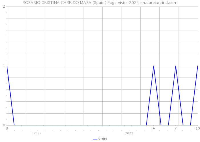 ROSARIO CRISTINA GARRIDO MAZA (Spain) Page visits 2024 
