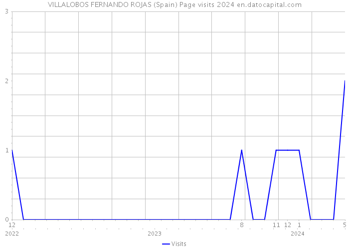 VILLALOBOS FERNANDO ROJAS (Spain) Page visits 2024 