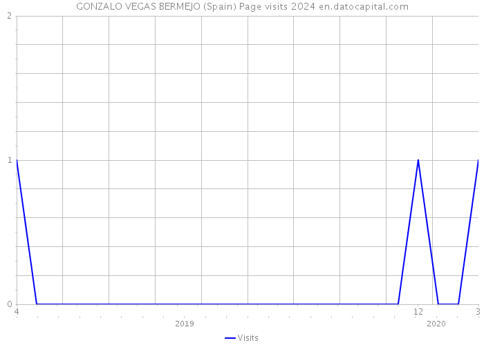 GONZALO VEGAS BERMEJO (Spain) Page visits 2024 