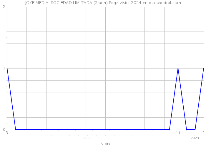 JOYE MEDIA SOCIEDAD LIMITADA (Spain) Page visits 2024 