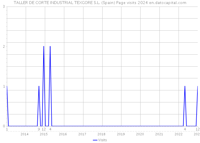 TALLER DE CORTE INDUSTRIAL TEXGORE S.L. (Spain) Page visits 2024 