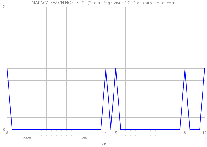 MALAGA BEACH HOSTEL SL (Spain) Page visits 2024 
