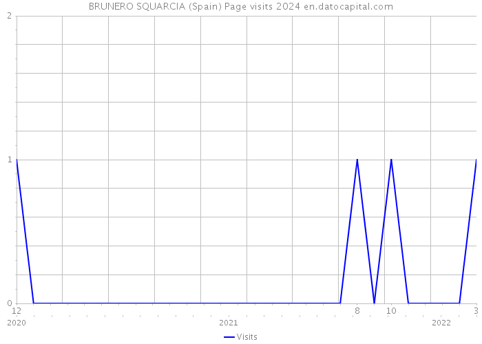 BRUNERO SQUARCIA (Spain) Page visits 2024 