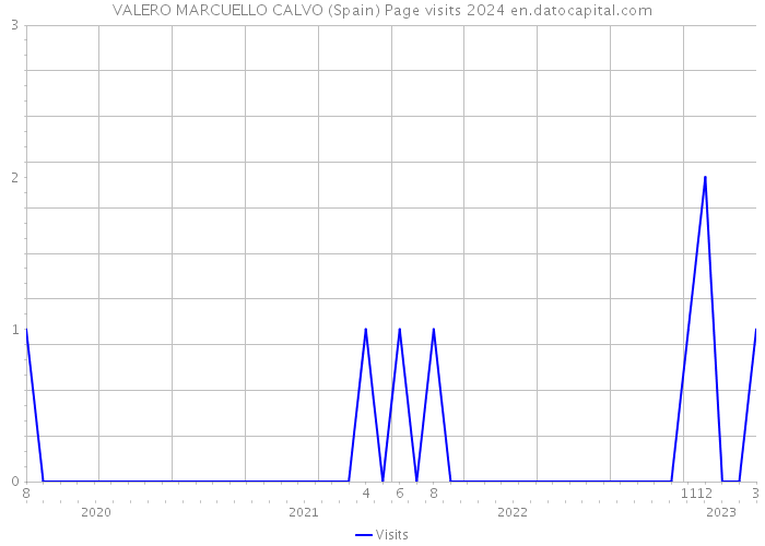VALERO MARCUELLO CALVO (Spain) Page visits 2024 