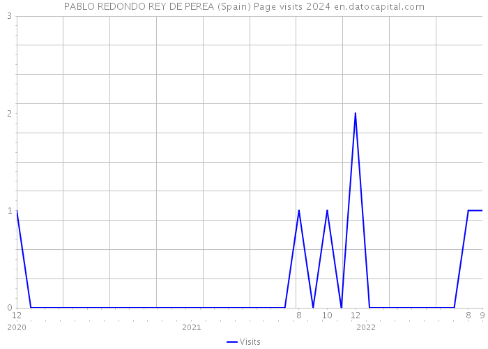 PABLO REDONDO REY DE PEREA (Spain) Page visits 2024 