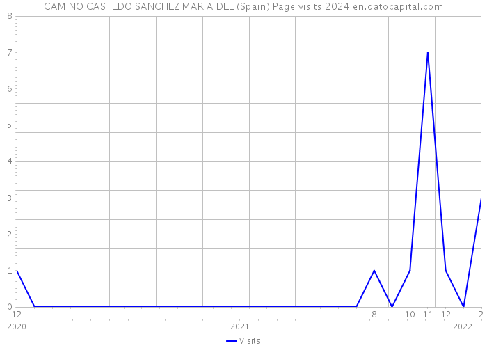 CAMINO CASTEDO SANCHEZ MARIA DEL (Spain) Page visits 2024 