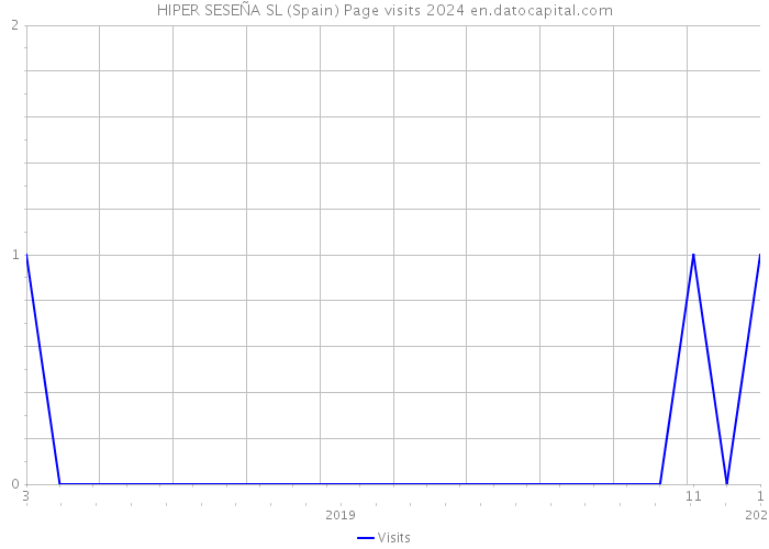 HIPER SESEÑA SL (Spain) Page visits 2024 