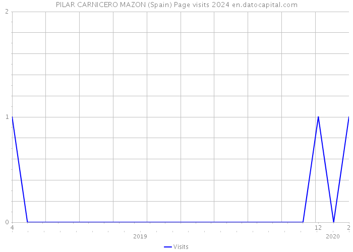 PILAR CARNICERO MAZON (Spain) Page visits 2024 