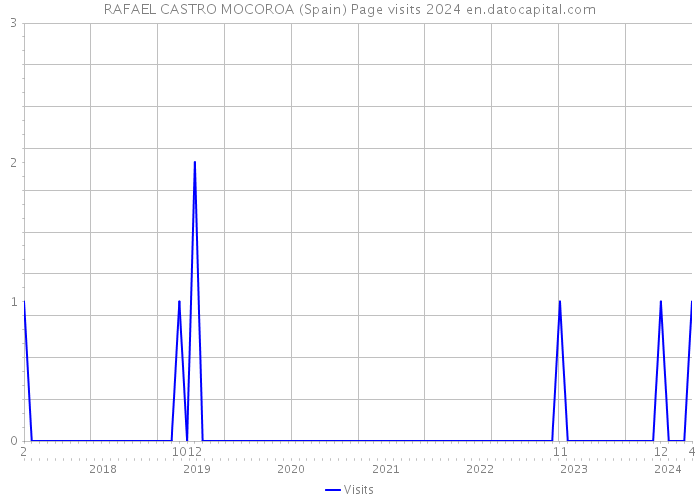 RAFAEL CASTRO MOCOROA (Spain) Page visits 2024 