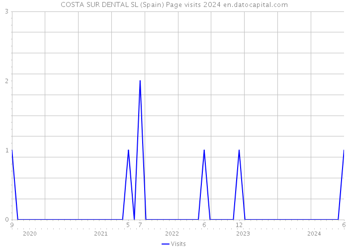 COSTA SUR DENTAL SL (Spain) Page visits 2024 