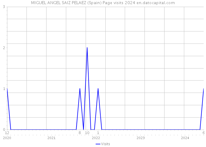 MIGUEL ANGEL SAIZ PELAEZ (Spain) Page visits 2024 