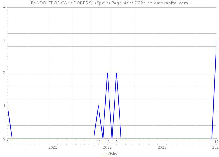 BANDOLEROS GANADORES SL (Spain) Page visits 2024 