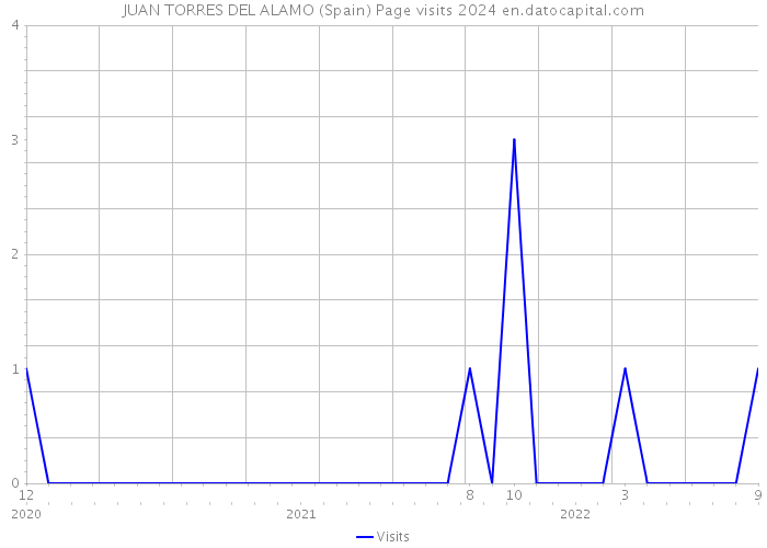 JUAN TORRES DEL ALAMO (Spain) Page visits 2024 