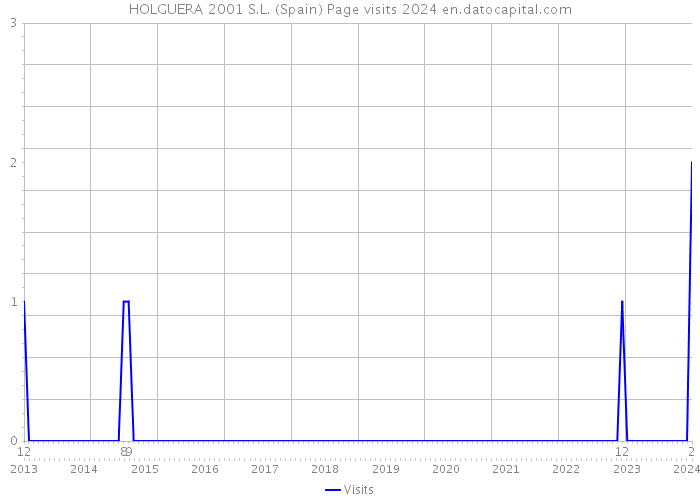 HOLGUERA 2001 S.L. (Spain) Page visits 2024 
