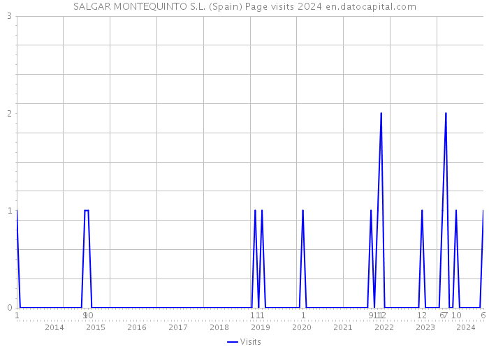 SALGAR MONTEQUINTO S.L. (Spain) Page visits 2024 