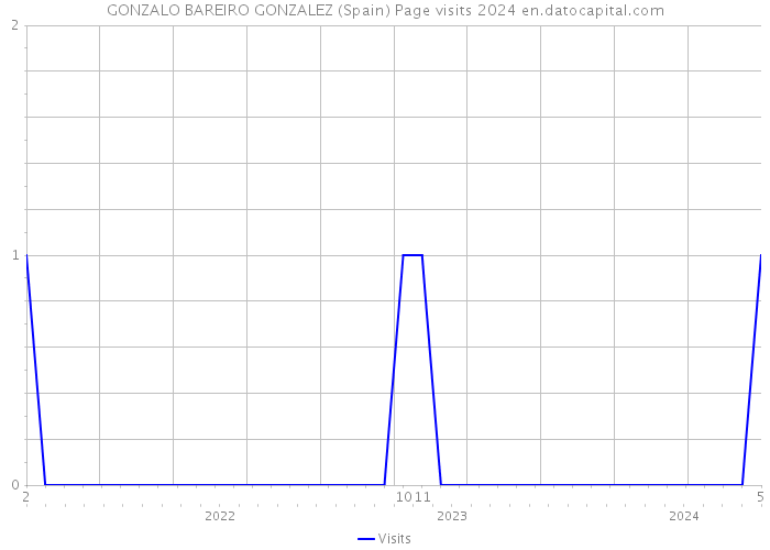 GONZALO BAREIRO GONZALEZ (Spain) Page visits 2024 
