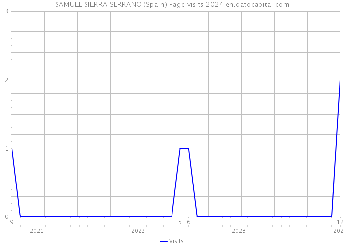 SAMUEL SIERRA SERRANO (Spain) Page visits 2024 