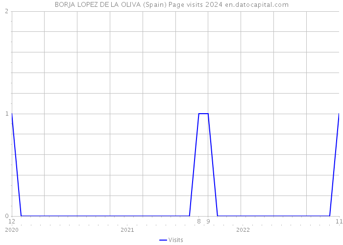 BORJA LOPEZ DE LA OLIVA (Spain) Page visits 2024 