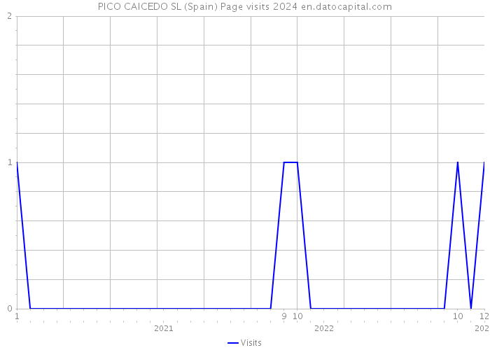 PICO CAICEDO SL (Spain) Page visits 2024 