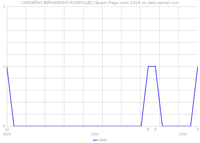 CARDEÑAS BERNARDINO RODRIGUEZ (Spain) Page visits 2024 