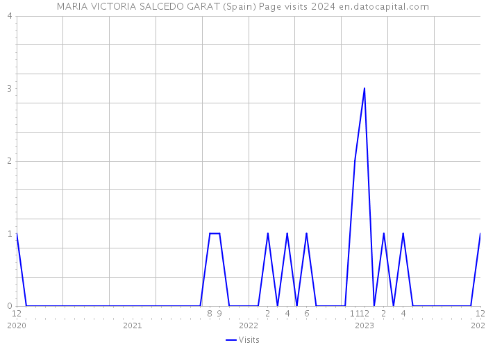 MARIA VICTORIA SALCEDO GARAT (Spain) Page visits 2024 