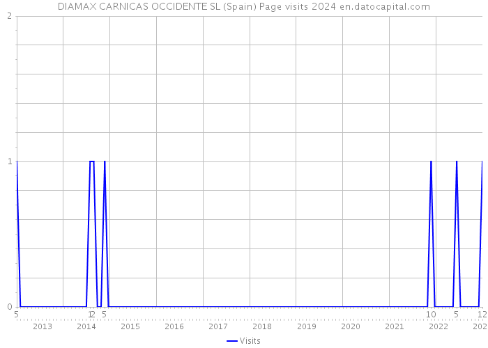 DIAMAX CARNICAS OCCIDENTE SL (Spain) Page visits 2024 