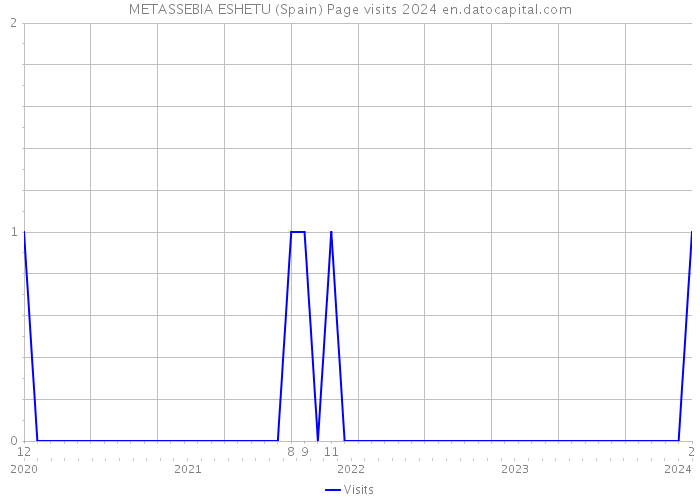 METASSEBIA ESHETU (Spain) Page visits 2024 