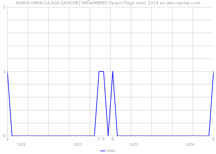 MARIA INMACULADA SANCHEZ MIÑAMBRES (Spain) Page visits 2024 