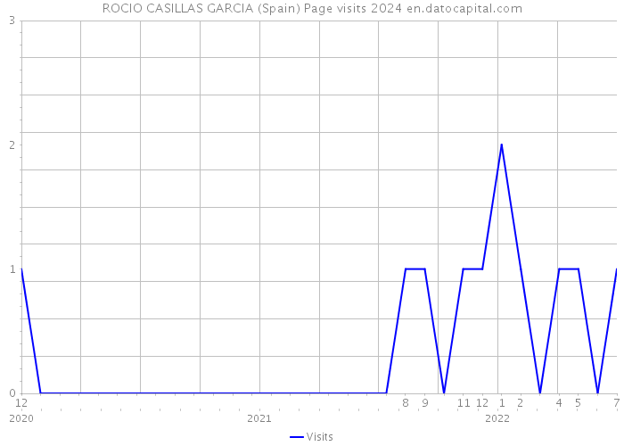 ROCIO CASILLAS GARCIA (Spain) Page visits 2024 