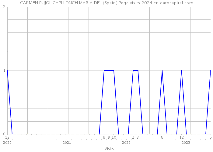 CARMEN PUJOL CAPLLONCH MARIA DEL (Spain) Page visits 2024 